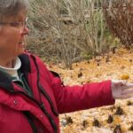 Ícone de conversão de texto em fala