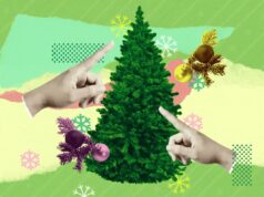 Como escolher a melhor árvore de Natal para sua casa Como escolher a melhor árvore de Natal para sua casa