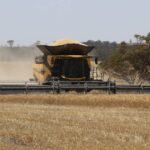 Como esta grande colheitadeira está “mudando o jogo” para os produtores de grãos de Broadacre