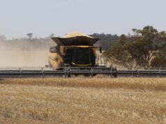 Como esta grande colheitadeira está “mudando o jogo” para os produtores de grãos de Broadacre Como esta grande colheitadeira está “mudando o jogo” para os produtores de grãos de Broadacre