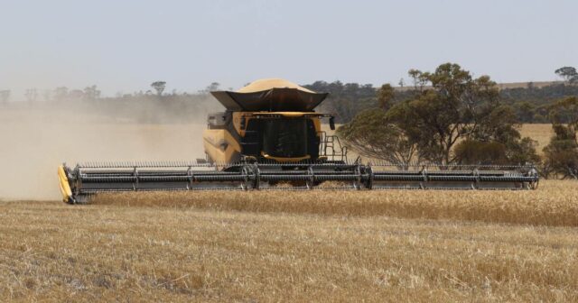 Como esta grande colheitadeira está “mudando o jogo” para os produtores de grãos de Broadacre

