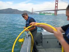 Como um grupo de rastreamento soa sob as águas da Bay Area na esperança de proteger as baleias das rotas marítimas Um navio porta-contêineres se move em direção à Baía de São Francisco vindo do Oceano Pacífico na terça-feira, 11 de novembro de 2025, perto de São Francisco, Califórnia. O Projeto SeaSounds da BayQuest estudará os impactos das interações dos navios na vocalização e no comportamento das populações locais de baleias. (Aric Crabb/Grupo de Notícias da Bay Area)