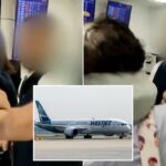 Companhia aérea WestJet sob ataque depois que agente rasgou cartões de embarque de passageiros por filmar disputa de voo