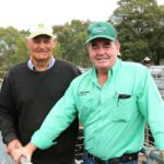 Compradores preparados para oferecer mais por bezerros desmamados de qualidade na venda de gado armazenado