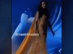 Concorrente do Miss Universo sofreu grave ferimento na cabeça ao cair no palco, revela atualização Miss México Fátima Bosch, que foi coroada Miss Universo 2025.