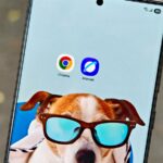 Um globo com uma barra de endereço da web cercada pelos ícones do Chrome, Firefox, Opera e Samsung Internet.