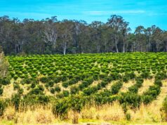 Conheça a empresa que está construindo discretamente um império alimentar australiano de US$ 1,3 bilhão Conheça a empresa que está construindo discretamente um império alimentar australiano de US$ 1,3 bilhão