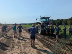 Contribuindo para controlar ervas daninhas de verão e pousio sem necessidade de produtos químicos Contribuindo para controlar ervas daninhas de verão e pousio sem necessidade de produtos químicos