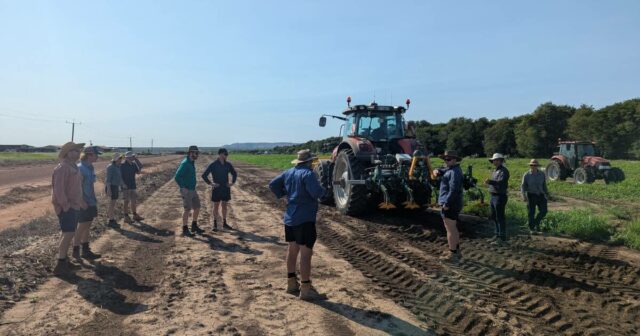 Contribuindo para controlar ervas daninhas de verão e pousio sem Contribuindo para controlar ervas daninhas de verão e pousio sem necessidade de produtos químicos