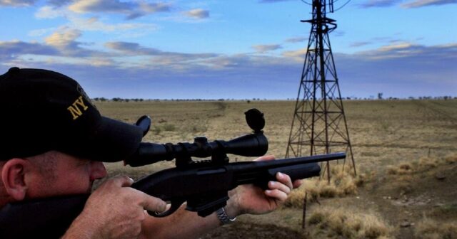 Controle de pragas agrícolas em fogo cruzado enquanto Bondi aprimora o foco em quem realmente precisa de armas
