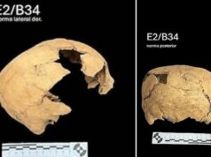 Crânio em forma de cubo descoberto no México oferece uma nova visão sobre a antiga civilização perdida Crânio em forma de cubo descoberto no México oferece uma nova visão sobre a antiga civilização perdida