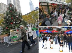 Criança de 6 anos leva um tapa na cara durante agressão não provocada no mercado de inverno do Bryant Park Pessoas fazendo compras e comendo em bancas de mercado no Bryant Park, em Nova York.