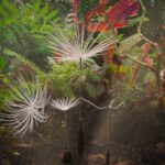 Crítica de 'Dandelion's Odyssey': uma jornada épica animada e sem diálogo flutua com uma inventividade maravilhosa