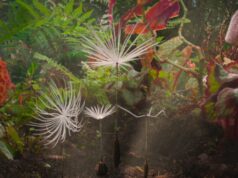 Crítica de ‘Dandelion’s Odyssey’: uma jornada épica animada e sem diálogo flutua com uma inventividade maravilhosa Crítica de 'Dandelion's Odyssey': uma jornada épica animada e sem diálogo flutua com uma inventividade maravilhosa