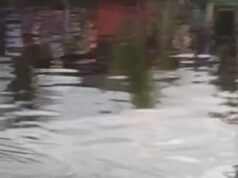 Crocodilo arrasta menino de dez anos para a morte: aldeões horrorizados descobrem fera com criança na boca Crocodilo arrasta menino de dez anos para a morte: aldeões horrorizados descobrem fera com criança na boca