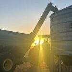 Culturas comunitárias aumentam apoio a clubes e jogadores de futebol regionais