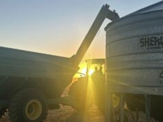 Culturas comunitárias aumentam apoio a clubes e jogadores de futebol regionais Culturas comunitárias aumentam apoio a clubes e jogadores de futebol regionais