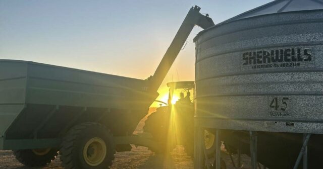 Culturas comunitárias aumentam apoio a clubes e jogadores de futebol regionais
