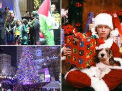 David Spade critica cerimônia de iluminação de árvores em shopping por evitar a palavra Natal David Spade critica cerimônia de iluminação de árvores em shopping por evitar a palavra Natal