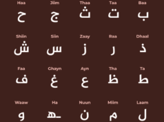De A para álgebra a T para tarifas: palavras árabes usadas na língua inglesa INTERATIVO - Mapa do Dia Mundial da Língua Árabe-1765976626