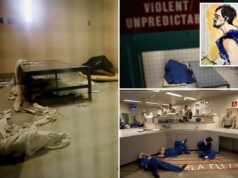 Dentro da prisão de saúde mental infestada de ratos e encharcada de urina que abriga Nick Reiner Dentro da prisão de saúde mental infestada de ratos e encharcada de urina que abriga Nick Reiner