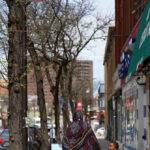 Deputados de Trump congelam pagamentos de creches para Minnesota em meio a suposta fraude na Somália