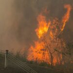 Incêndio florestal ruivo