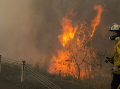 Desastre declarado quando incêndio destrói 12 casas e ventos fortes provocam chamas Incêndio florestal ruivo