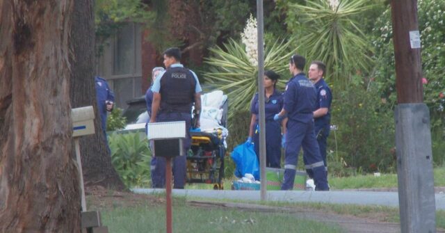Dois mortos após suposto esfaqueamento de violência doméstica em Sydney
