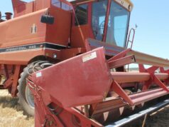 Dois produtores, com 48 anos de diferença, são colocados à prova na colheita comunitária Dois produtores, com 48 anos de diferença, são colocados à prova na colheita comunitária