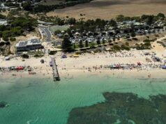 Dois tubarões avistados perto da costa em uma praia popular ao sul de Adelaide Dois tubarões avistados perto da costa em uma praia popular ao sul de Adelaide