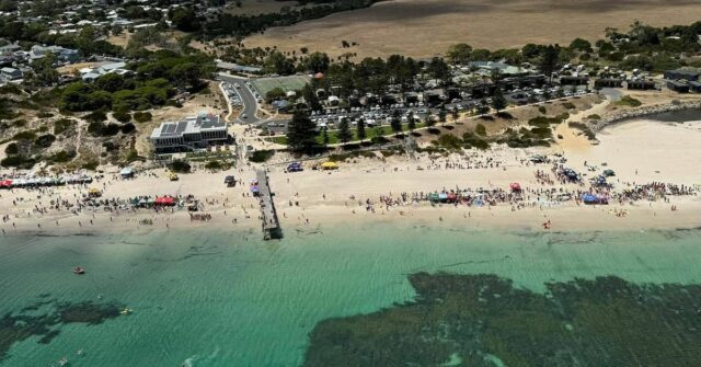 Dois tubarões avistados perto da costa em uma praia popular ao sul de Adelaide
