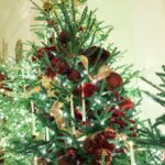 Donald Trump proporciona economia de milhões de custos com árvores de Natal