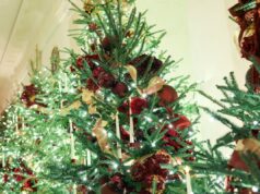 Donald Trump proporciona economia de milhões de custos com árvores de Natal Donald Trump proporciona economia de milhões de custos com árvores de Natal