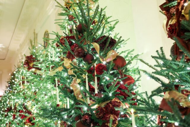 Donald Trump proporciona economia de milhões de custos com árvores de Natal
