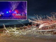 Duas crianças esperando o ônibus gravemente feridas devido aos fortes ventos em Idaho Fortes rajadas de vento causaram a queda de várias árvores velhas e apodrecidas internamente, derrubando linhas de energia e ferindo duas crianças que esperavam o ônibus.