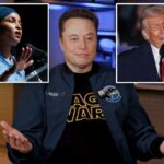 Elon Musk sugere que Ilhan Omar cometeu 'traição' com comentários pró-Somália de 2024, depois que Trump discursou sobre o legislador em comício