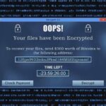 Um número crescente de empresas australianas está a pagar resgates a redes criminosas globais.