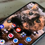 Por que o Notesnook é o melhor aplicativo de produtividade