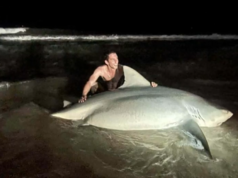 Enorme tubarão-touro capturado na costa de Queensland Enorme tubarão-touro capturado na costa de Queensland