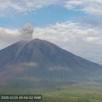 Entrando em erupção a até 1.000 metros do pico esta manhã, o Monte Semeru entrou em erupção 11 vezes desde a manhã de sábado.