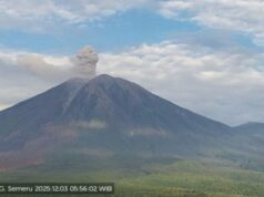 Entrando em erupção a até 1.000 metros do pico esta manhã, o Monte Semeru entrou em erupção 11 vezes desde a manhã de sábado. Entrando em erupção a até 1.000 metros do pico esta manhã, o Monte Semeru entrou em erupção 11 vezes desde a manhã de sábado.