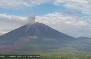 Entrando em erupção a até 1.000 metros do pico esta manhã, o Monte Semeru entrou em erupção 11 vezes desde a manhã de sábado. Entrando em erupção a até 1.000 metros do pico esta manhã, o Monte Semeru entrou em erupção 11 vezes desde a manhã de sábado.
