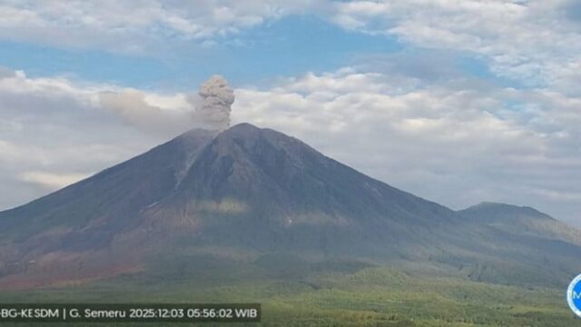 Entrando em erupção a até 1.000 metros do pico esta manhã, o Monte Semeru entrou em erupção 11 vezes desde a manhã de sábado.
