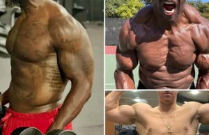 Entre na temporada de férias com esses famosos bíceps – Adivinhe quem! Bustin' Biceps - Adivinhe quem!
