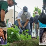 Eric Adams, obcecado por ratos, cria o 'Escritório de Mitigação de Roedores' em Nova York como presente de despedida