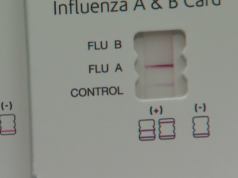 ‘Espalhando-se como um incêndio’: preocupações urgentes ‘fora de controle’ à medida que o número de gripes atinge o pico em Nova York Yahoo news home