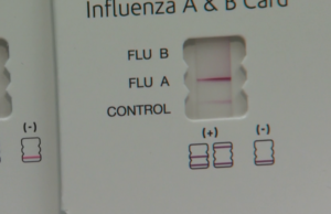 ‘Espalhando-se como um incêndio’: preocupações urgentes ‘fora de controle’ à medida que o número de gripes atinge o pico em Nova York Yahoo news home