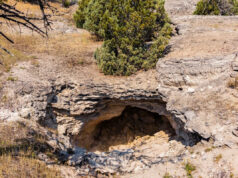 Especialista captura imagens impressionantes depois de deixar a câmera em uma caverna nos EUA por 10 anos: ‘Isso é além de incrível’ Yahoo news home