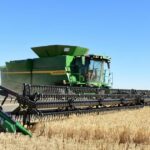 Estes produtores de cereais prepararam-se para uma colheita difícil: será que acertaram em cheio?